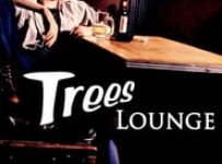 Poster for the movie "Trees Lounge"