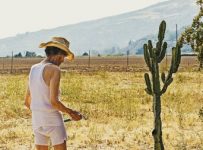 Poster for the movie "Lucky"