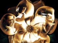 Poster for the movie "Magnolia"