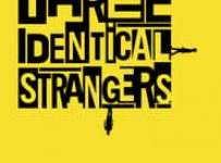 Poster for the movie "Three Identical Strangers"