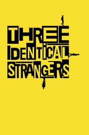 Poster for the movie "Three Identical Strangers"