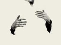 Poster for the movie "The Lobster"