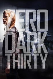 Poster for the movie "Zero Dark Thirty"