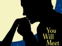 Poster for the movie "You Will Meet a Tall Dark Stranger"