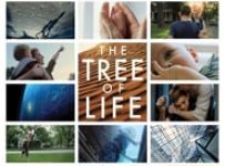 Poster for the movie "The Tree of Life"