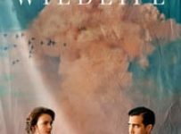 Poster for the movie "Wildlife"