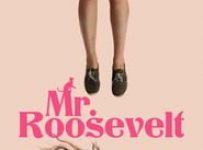 Poster for the movie "Mr. Roosevelt"
