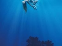 Poster for the movie "Under the Silver Lake"