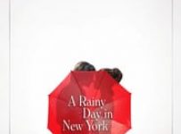 Poster for the movie "A Rainy Day in New York"