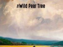 Poster for the movie "The Wild Pear Tree"