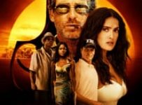 Poster for the movie "After the Sunset"