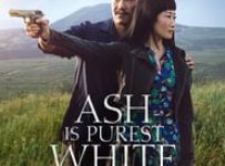 Poster for the movie ""