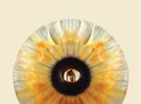 Poster for the movie ""