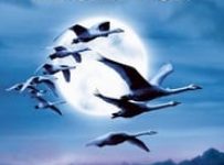 Poster for the movie ""