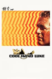 Cool Hand Luke poster