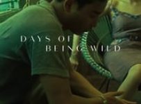 Poster for the movie "Days of Being Wild"