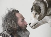 Poster for the movie "Rams"