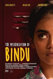 The MisEducation of Bindu poster