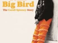 Poster for the movie ""