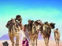 Poster for the movie ""