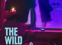 Poster for the movie "The Wild Goose Lake"