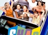 Poster for the movie "Shag"