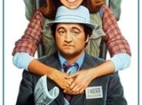 Poster for the movie "Continental Divide"