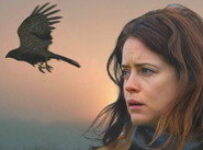 Poster for the movie "H Is for Hawk"