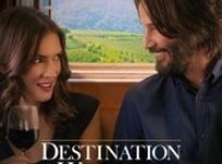 Poster for the movie "Destination Wedding"